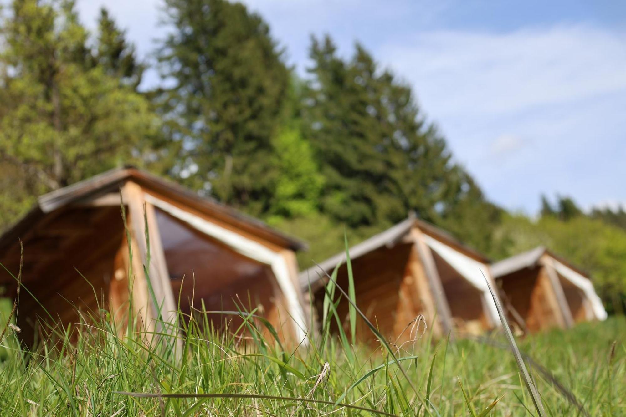 Villa Mountain View Glamping à Dovje Extérieur photo