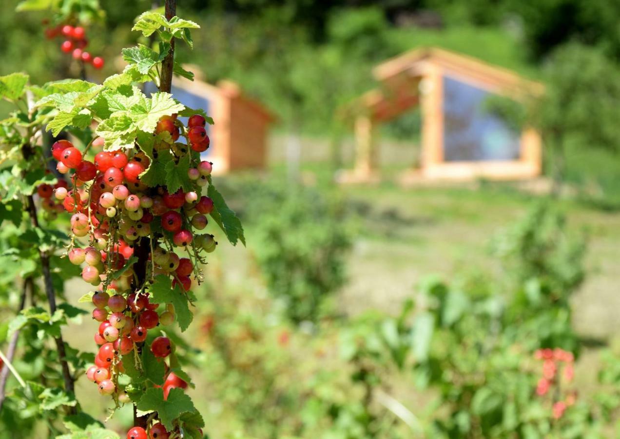 Villa Mountain View Glamping à Dovje Extérieur photo