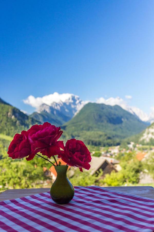 Villa Mountain View Glamping à Dovje Extérieur photo