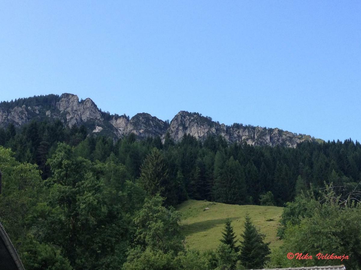 Villa Mountain View Glamping à Dovje Extérieur photo