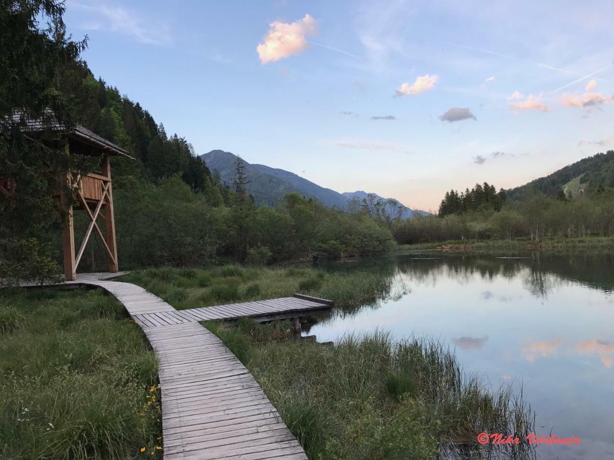 Villa Mountain View Glamping à Dovje Extérieur photo